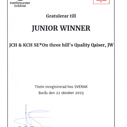 Qaiser JW